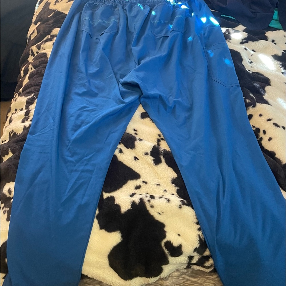 Carhartt Vibrant Blue Outerwear